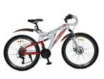 24" bicycle